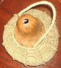 Large calabash