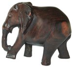 Elephant in Ebony